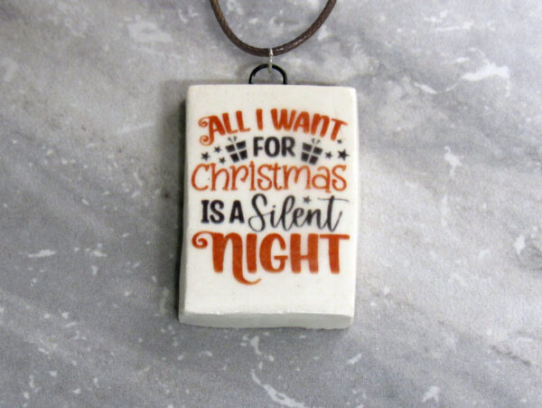 All I Want For Christmas Is A Slient NightIMG_9150 -2700x2025 - marble